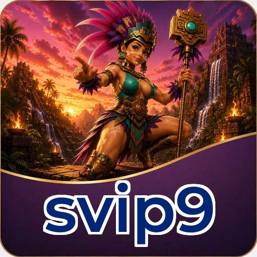 svip9 APK Structure